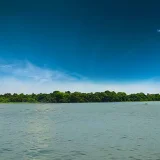 Pathiramanal Island Alappuzha 